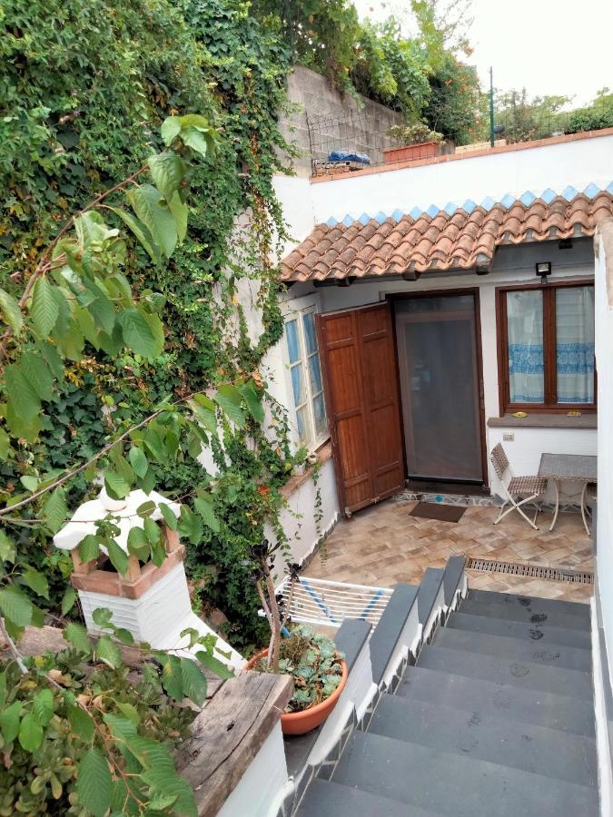 Апартаменти Casa Rustica Доргалі Екстер'єр фото